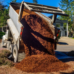 Dump Truck