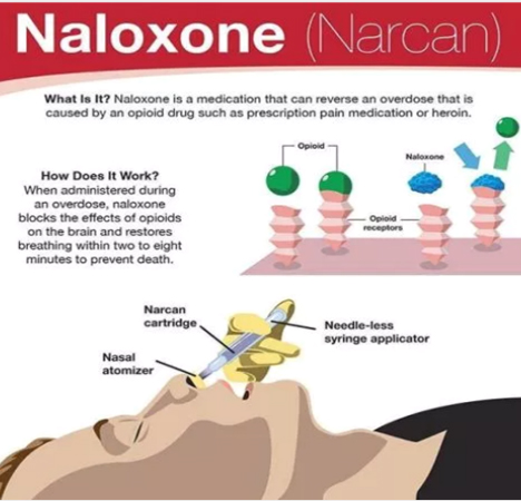 Narcan Image